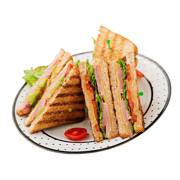 SMOKED TURKEY AND MAYO